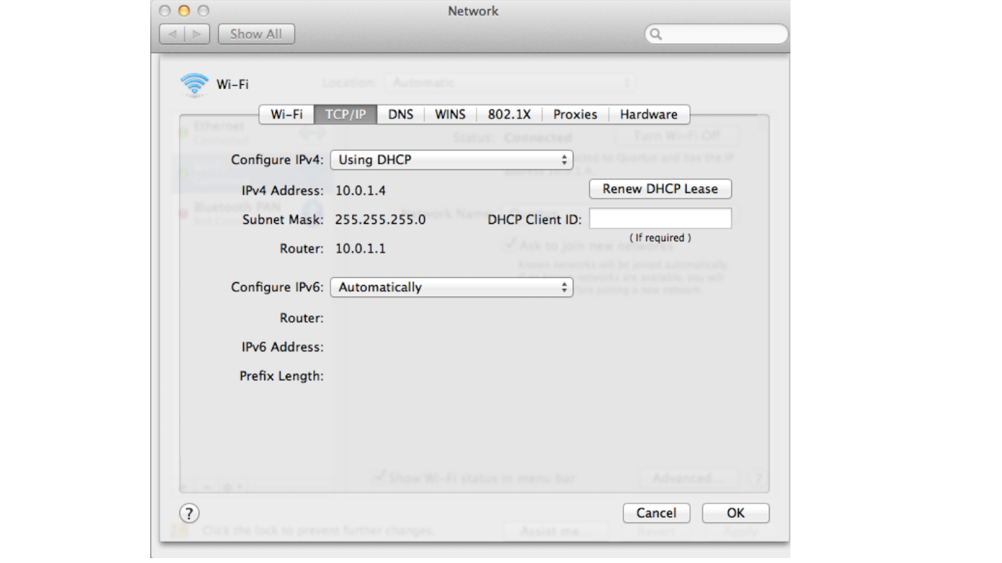 Mac TCP/IP settings