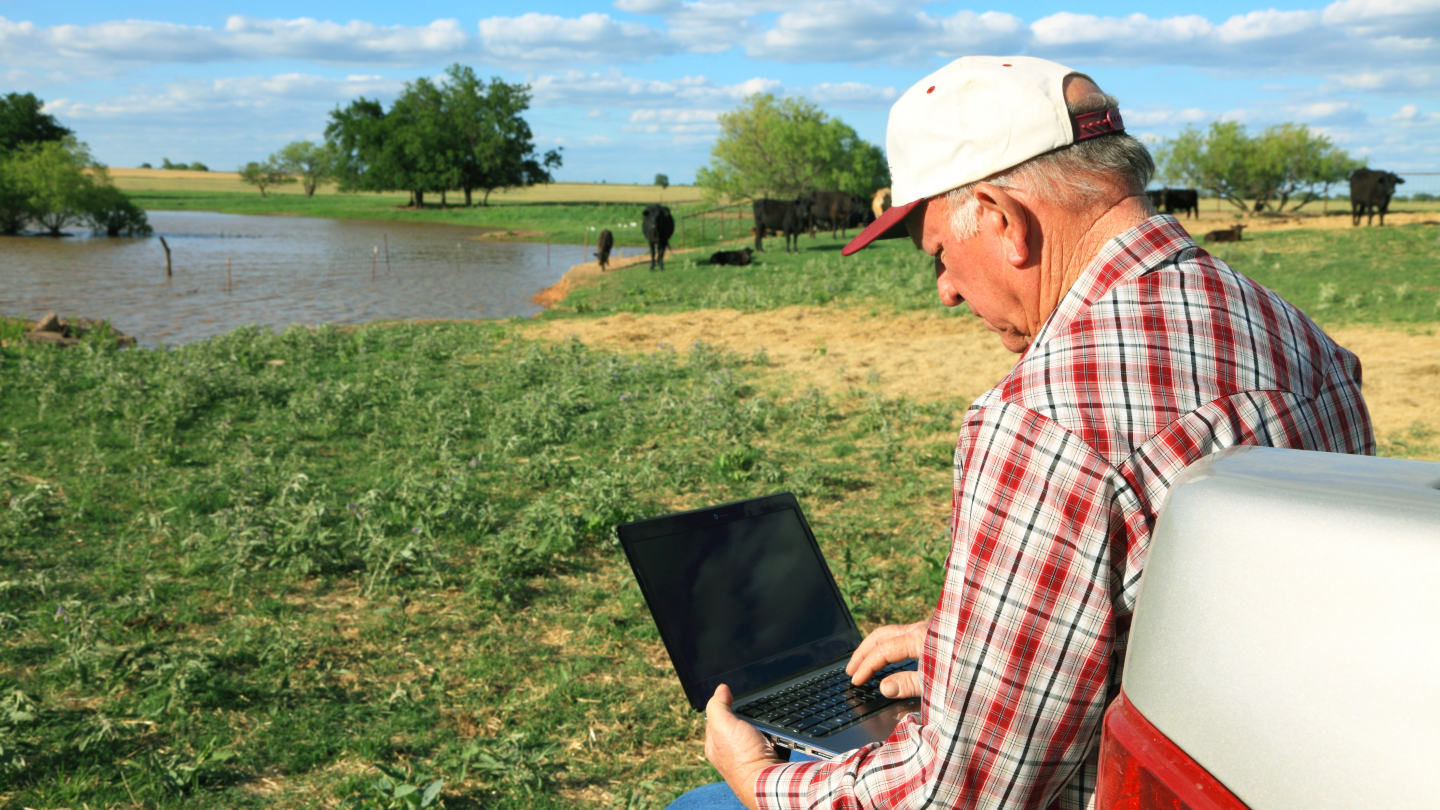 Man looks at laptop while on truck tailgate in a farm field.